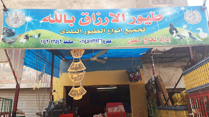   جزارة الحلال